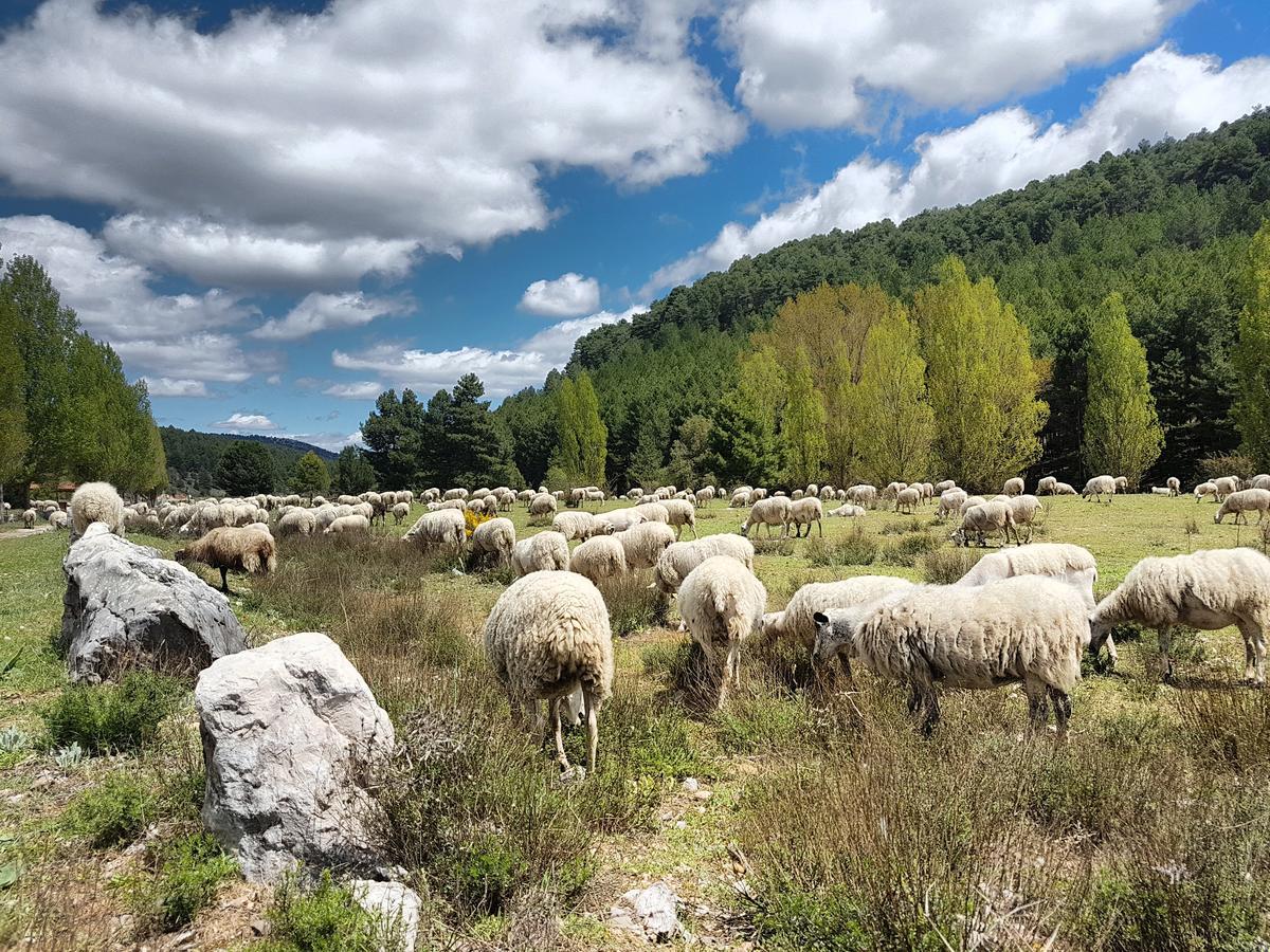 Готель Enclave Soria Herreros Екстер'єр фото